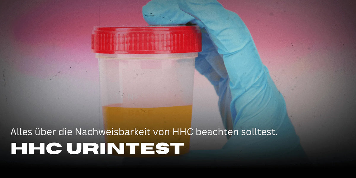 HHC Urintest, HHC Urinprobe, HHC test, HHC Drogentest, Ein Becher mit Urin enthalten