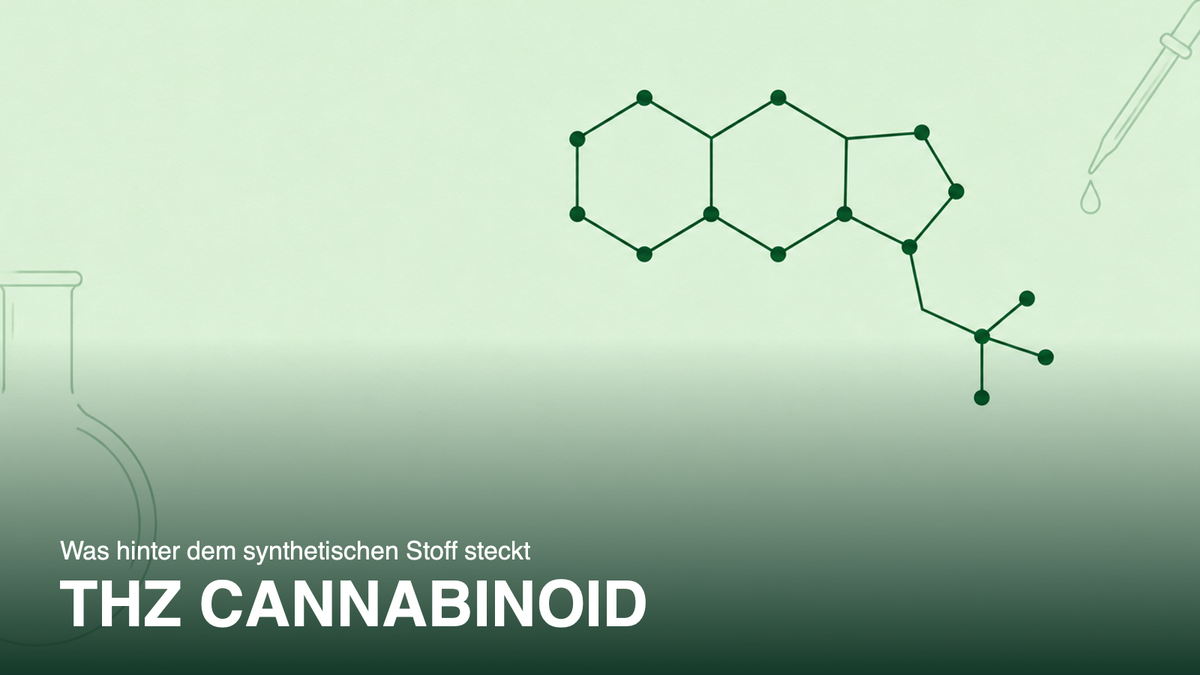 Stilisierte Molekülstruktur eines Cannabinoids in Grün auf Mintgrün, Titelbild zum Artikel über THZ Cannabinoid