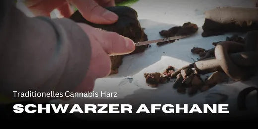 Darstellung von Schwarzer Afgahne Hasch, dass aufgeschnitten wird. Haschisch