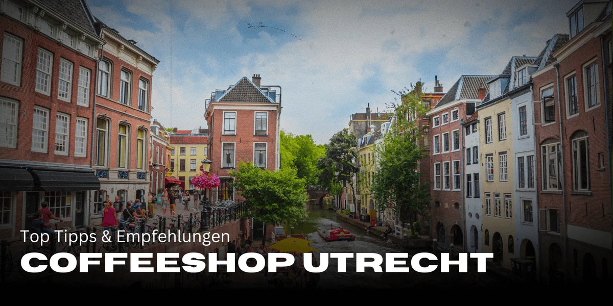 Die besten Coffeeshops in Utrecht für Touristen: Top Tipps & Empfehlungen 🌿-Smagro GmbH