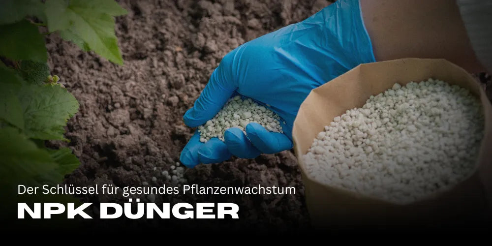 NPK Dünger: Der Schlüssel für gesundes Pflanzenwachstum und optimale Erträge