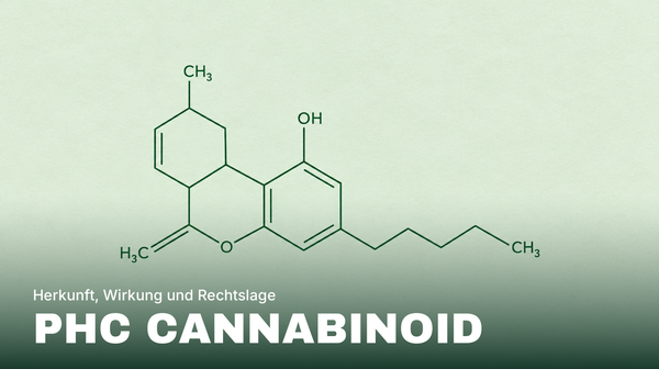 Stilisierte Strukturformel eines Cannabinoid-Moleküls in Grün mit dem Titel PHC Cannabinoid als Symbolbild für das PHC Cannabinoid
