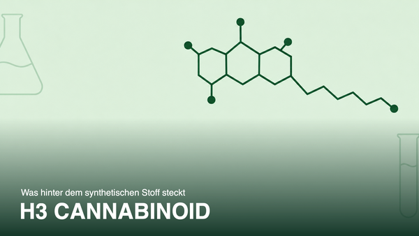 Stilisierte Molekülstruktur eines Cannabinoids in Grün auf Mintgrün, Titelbild zum Artikel über H3 Cannabinoid