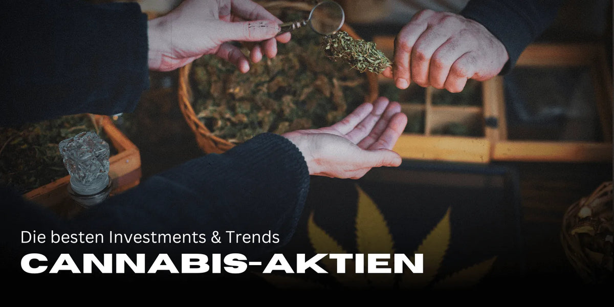 Cannabis-Aktien 2025: Die besten Investments & Trends 🚀-Smagro GmbH