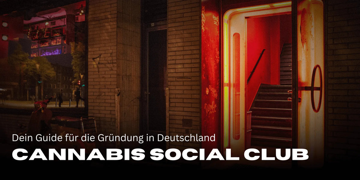 Cannabis Social Club gründen: Dein Guide für Deutschland