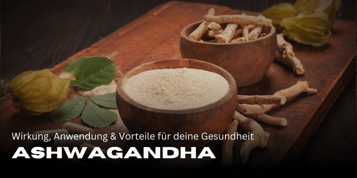 Ashwagandha: Wirkung, Anwendung & Vorteile für deine Gesundheit-Smagro GmbH