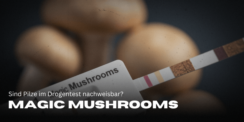 Sind Pilze im Drogentest nachweisbar?