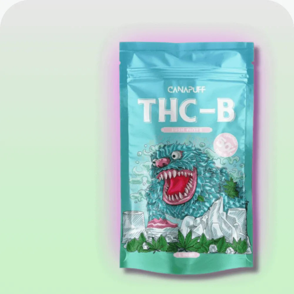 THC-B-Smagro GmbH