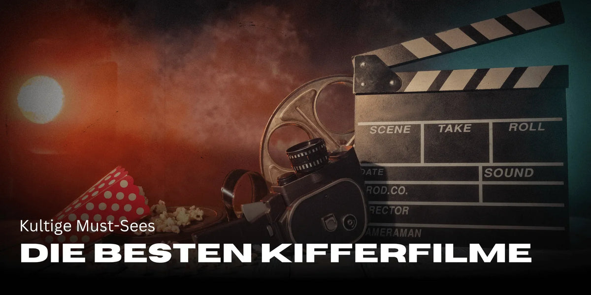 Die besten Kifferfilme aller Zeiten – Kultige Must-Sees-Smagro GmbH