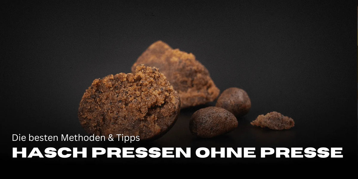 Hasch pressen ohne Presse: Die besten Methoden & Tipps-Smagro GmbH