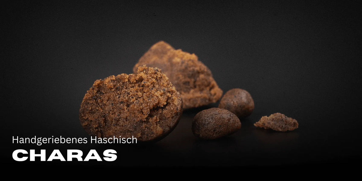 Charas - Handgeriebenes Haschisch