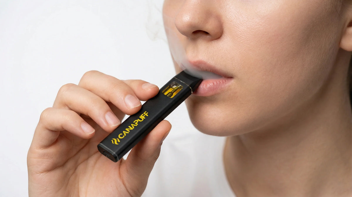 Vapes Unterschiede verstehen – 10 entscheidende Fakten