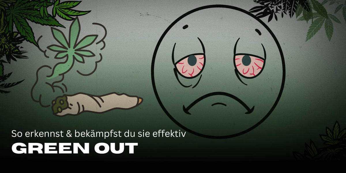 Green Out: Ursachen, Symptome und Tipps zur Linderung-Smagro GmbH