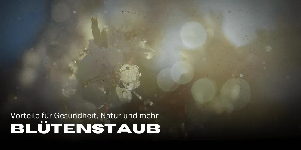 Blütenstaub: Vorteile für Gesundheit, Natur und mehr 🌼