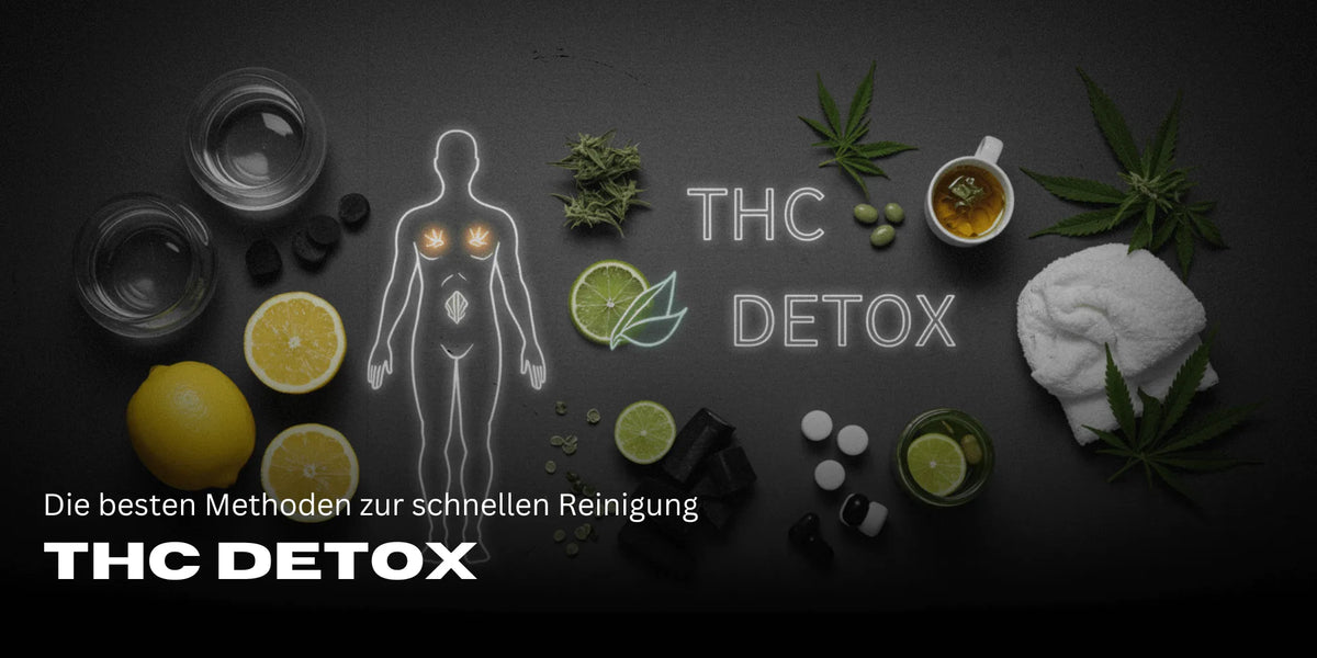 THC Detox