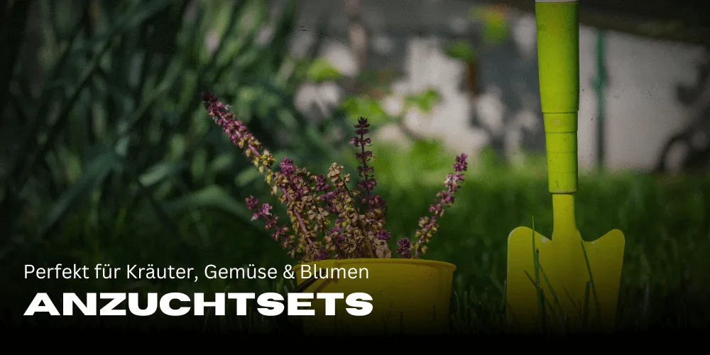 Anzuchtsets