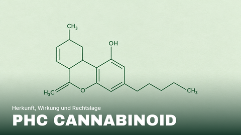 PHC Cannabinoid: Was dahintersteckt, Wirkung und Rechtslage