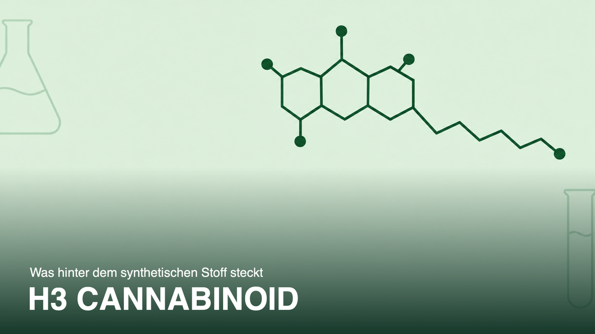 Stilisierte Molekülstruktur eines Cannabinoids in Grün auf Mintgrün, Titelbild zum Artikel über H3 Cannabinoid