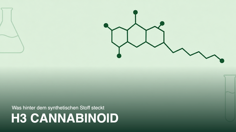 H3 Cannabinoid: Was hinter dem synthetischen Stoff steckt