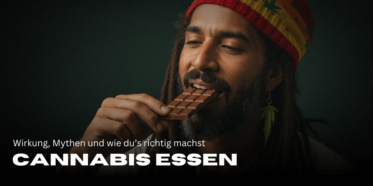 Mann im Rasta Look isst THC Schokolade