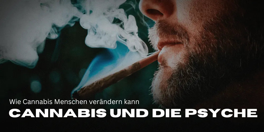Persönlichkeitsveränderung durch Cannabiskonsum: Auswirkungen & Prävention