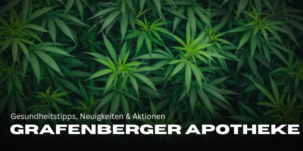 Grafenberger Apotheke Blog: Gesundheitstipps, Neuigkeiten & Aktionen