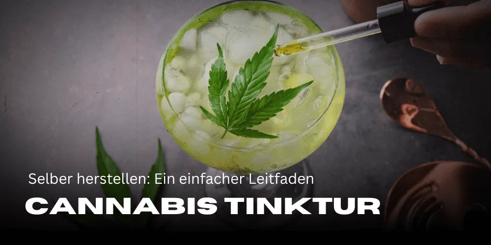 Cannabis Tinktur herstellen: Ein einfacher Leitfaden