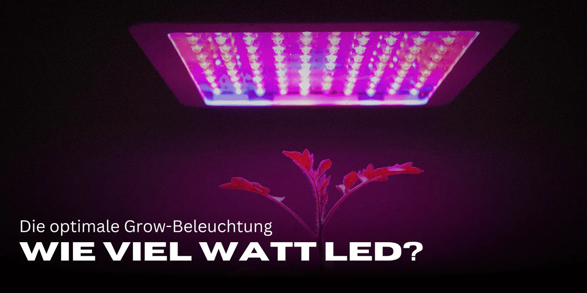 Wie viel Watt LED pro m²? 