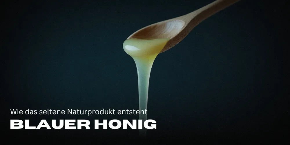 Blauer Honig: Wie das seltene Naturprodukt entsteht und warum es fasziniert