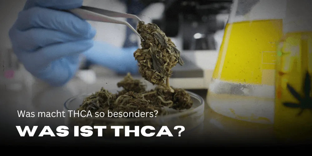 Was ist THCA und was macht es so besonders?