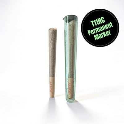 T11HC Preroll Permanent Marker 1,3g