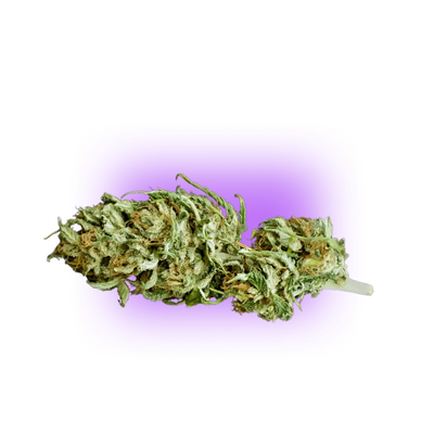 CBD Blüte Cheese THC Free