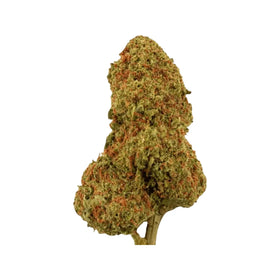 PHCP Blüte Candy Kush 13%